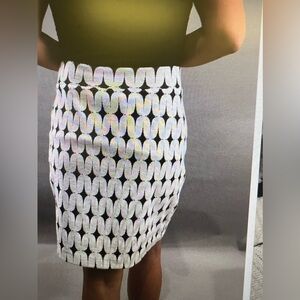 ReneeC skirt m/p